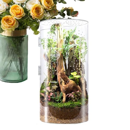 Jumping Spider Enclosure, Arboreal Reptile Acrylic Tank, Waterproof Reptile Enclosure with Front Opening Door Versatile Ideal for Tarantula, Frogs, Praying Mantis, Snails von Bsbkoj