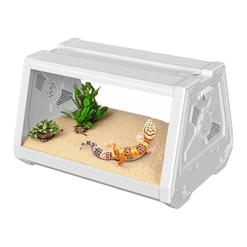 Reptile Terrarium, Multifunctional Habitat Cage Bearded Dragon, Trapezoidal Design with Expanded Viewing Field, Compact Ideal for Scorpions & Hermit Crabs, Size: 10.63x7.48x7.48inc Reptile Terrarium, Multifunctional Habitat Cage Bearded Dragon, Trapezoidal Design with Expanded Viewing Field, Compact Ideal for Scorpions & Hermit Crabs, Size: 10.63x7.48x7.48inc von Bsbkoj