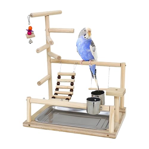 Vogel-Sitzstange, Naturholz, Vogelsitzstange, Laufstall, Leiter, Fitnessstudio für Sittiche und Nymphensittiche, umweltfreundliches Vogelspielzeug und Sitzstangen, idealer Spielplatz für Spaß und Vogel-Sitzstange, Naturholz, Vogelsitzstange, Laufstall, Leiter, Fitnessstudio für Sittiche und Nymphensittiche, umweltfreundliches Vogelspielzeug und Sitzstangen, idealer Spielplatz für Spaß und von Bsbkoj