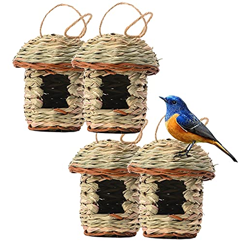 Vogelnester, Vogelnest FüR KäFig Deko, Handgewebte VogelhüTte Gras Bird Nest, Vogel Nest Kreative Ornamente Hausgarten, Wird FüR Tauben, Papageien, Spatzen Und Andere Kleine VöGel Verwendet (4 Stücke) Vogelnester, Vogelnest FüR KäFig Deko, Handgewebte VogelhüTte Gras Bird Nest, Vogel Nest Kreative Ornamente Hausgarten, Wird FüR Tauben, Papageien, Spatzen Und Andere Kleine VöGel Verwendet (4 Stücke) von Bseical