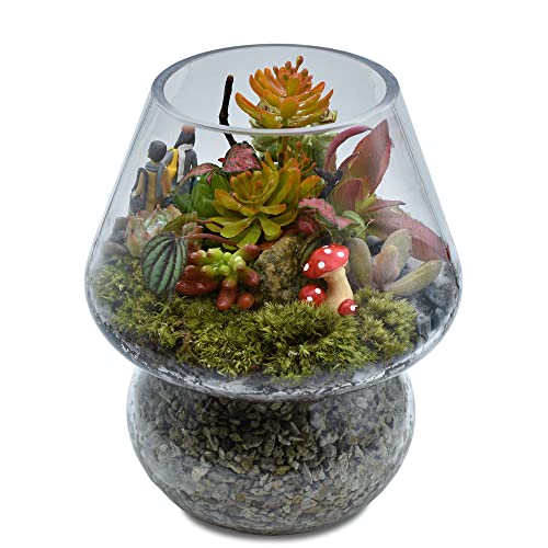 Glas-Terrarium, Bsod Pilzterrarien, Anzuchtglas, Einmachgläser, Süßigkeitenvase mit Deckel zur Aufbewahrung von Pflanzen, Moos, Sukkulenten, DIY-Ökosystem, keine Pflanze von Bsod