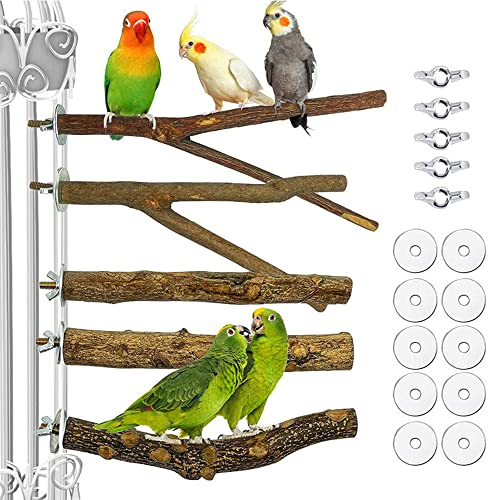 5 Stück Vögel Sitzstangen aus Naturholz, Vogel Spielzeug Sitzstangen Set, Sittich Ständer Spielzeug, 2 Holzstangen Y-Form 3 Sitzstangen aus Pfefferholz, für Graupapagei Ara Regenbogenlorikeet Bird von Bssowe