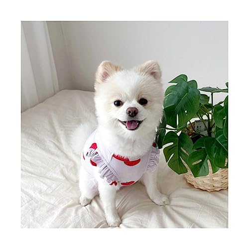 Sommerkleidung für Haustiere Doggy Kitten Ruffles Kurzarmhemd Rundhals Pullover Erdbeermuster Kleidung mit Bleistiftrand für Hunde Katzen Welpe für kleine mittelgroße Hunde Katzen von BtpOuy