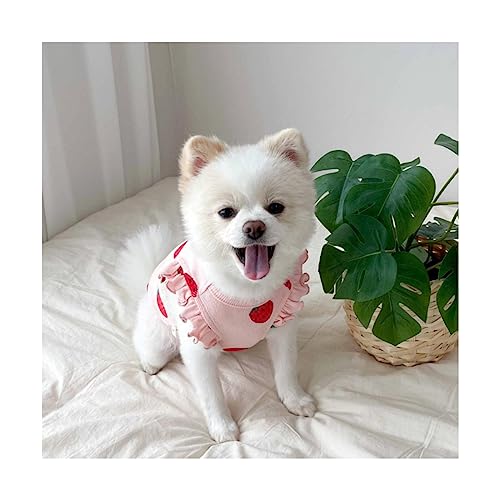 Sommerkleidung für Haustiere Doggy Kitten Ruffles Kurzarmhemd Rundhals Pullover Erdbeermuster Kleidung mit Bleistiftrand für Hunde Katzen Welpe für kleine mittelgroße Hunde Katzen von BtpOuy