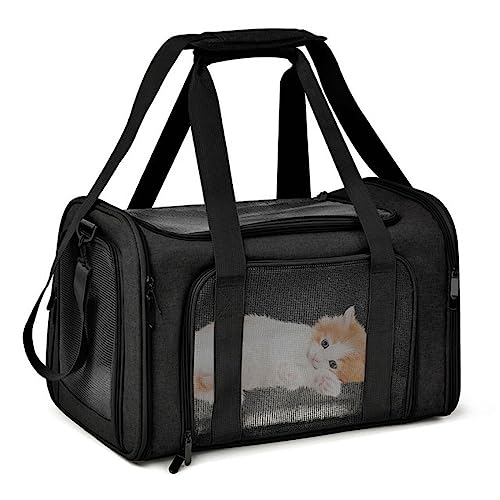 Tragbare Katze Welpe Tasche Atmungsaktiv Mesh Hund Tragetasche Haustier Reise Tragetasche Welpen Kitty Kaninchen Sichere Sling Bag Carrier für Haustier Outdoor Reisen Wandern für Welpen Mittlere Katzen von BtpOuy