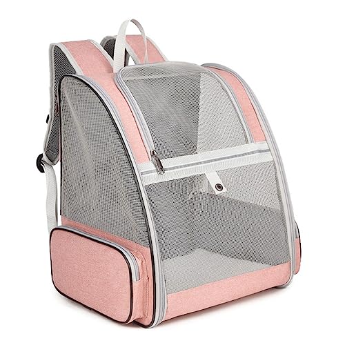 Tragbare Katze Welpe Tasche Faltbar Haustier Katze Carrier Rucksack Katze Hund Umhängetasche mit Seitentaschen Atmungsaktiv Mesh Reise Safe Bag Carrier für Kleine Hunde Hund für Welpen Mittlere Katzen von BtpOuy