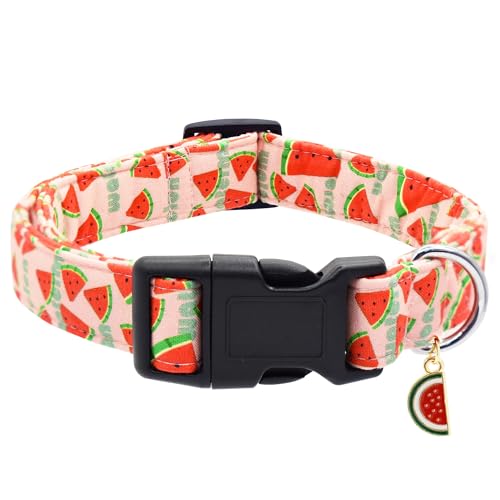 Bubblepup Hundehalsband, verstellbares Hundehalsband für kleine, mittelgroße und große Hunde mit weicher Baumwolle und Schnellverschluss-Schnalle Bubblepup Hundehalsband, verstellbares Hundehalsband für kleine, mittelgroße und große Hunde mit weicher Baumwolle und Schnellverschluss-Schnalle von Bubblepup