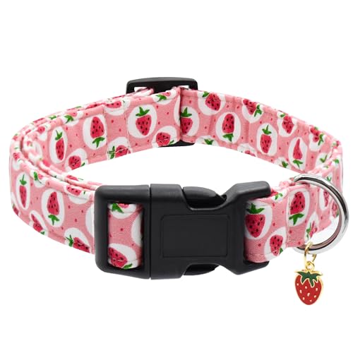 Bubblepup Hundehalsband, verstellbares Hundehalsband für kleine, mittelgroße und große Hunde mit weicher Baumwolle und Schnellverschluss-Schnalle Bubblepup Hundehalsband, verstellbares Hundehalsband für kleine, mittelgroße und große Hunde mit weicher Baumwolle und Schnellverschluss-Schnalle von Bubblepup