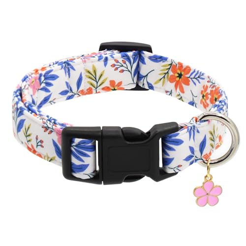 Bubblepup Hundehalsband mit Blumenmuster, weiche Baumwolle, für kleine, mittelgroße und große Hunde, Blau / Rosa Bubblepup Hundehalsband mit Blumenmuster, weiche Baumwolle, für kleine, mittelgroße und große Hunde, Blau / Rosa von Bubblepup
