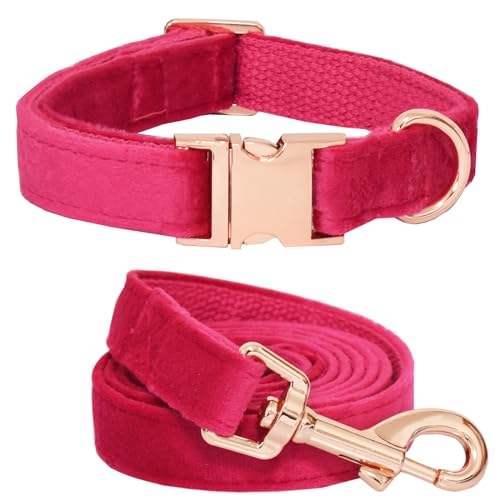 Bubblepup Samt-Hundehalsband und Leine, Valentinstags-Hundehalsbänder für kleine, mittelgroße und große Hunde Bubblepup Samt-Hundehalsband und Leine, Valentinstags-Hundehalsbänder für kleine, mittelgroße und große Hunde von Bubblepup