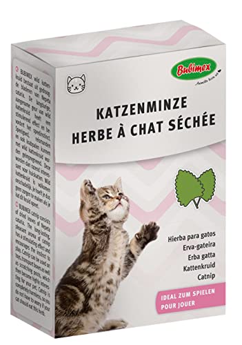 Bubimex Katzenminze, Katzenminze, 20 g, 6 Stück von Bubimex