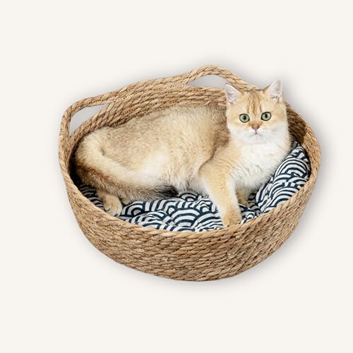 Natürliches Katzennest für Indoor-Katze, rundes Bett für Katze/Hund/Haustierschlaf mit Kissen, Kissen und Bambusmatte, handgefertigtes Katzenhaus – Mehrzweck-Strohnest, gewebtes Haustierhaus Natürliches Katzennest für Indoor-Katze, rundes Bett für Katze/Hund/Haustierschlaf mit Kissen, Kissen und Bambusmatte, handgefertigtes Katzenhaus – Mehrzweck-Strohnest, gewebtes Haustierhaus von BubuKuku
