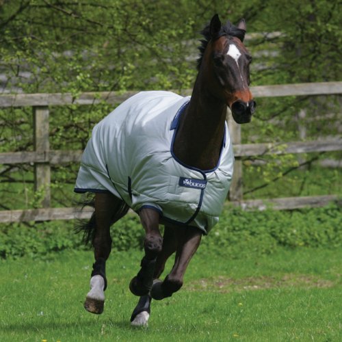 BUCAS Outdoor Pferdedecke POWER TURNOUT CLASSIC, silberfarbend, 145 von Bucas