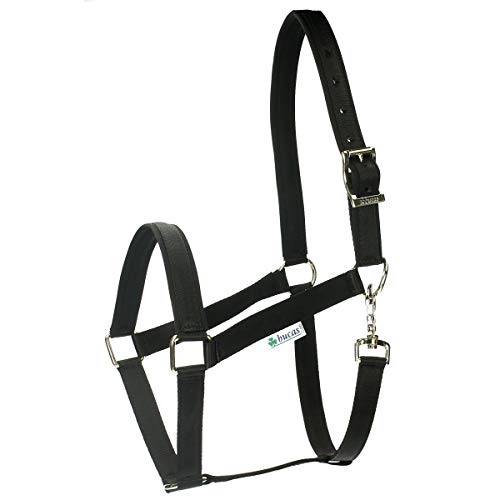 BUCAS Halfter Dublin von Bucas