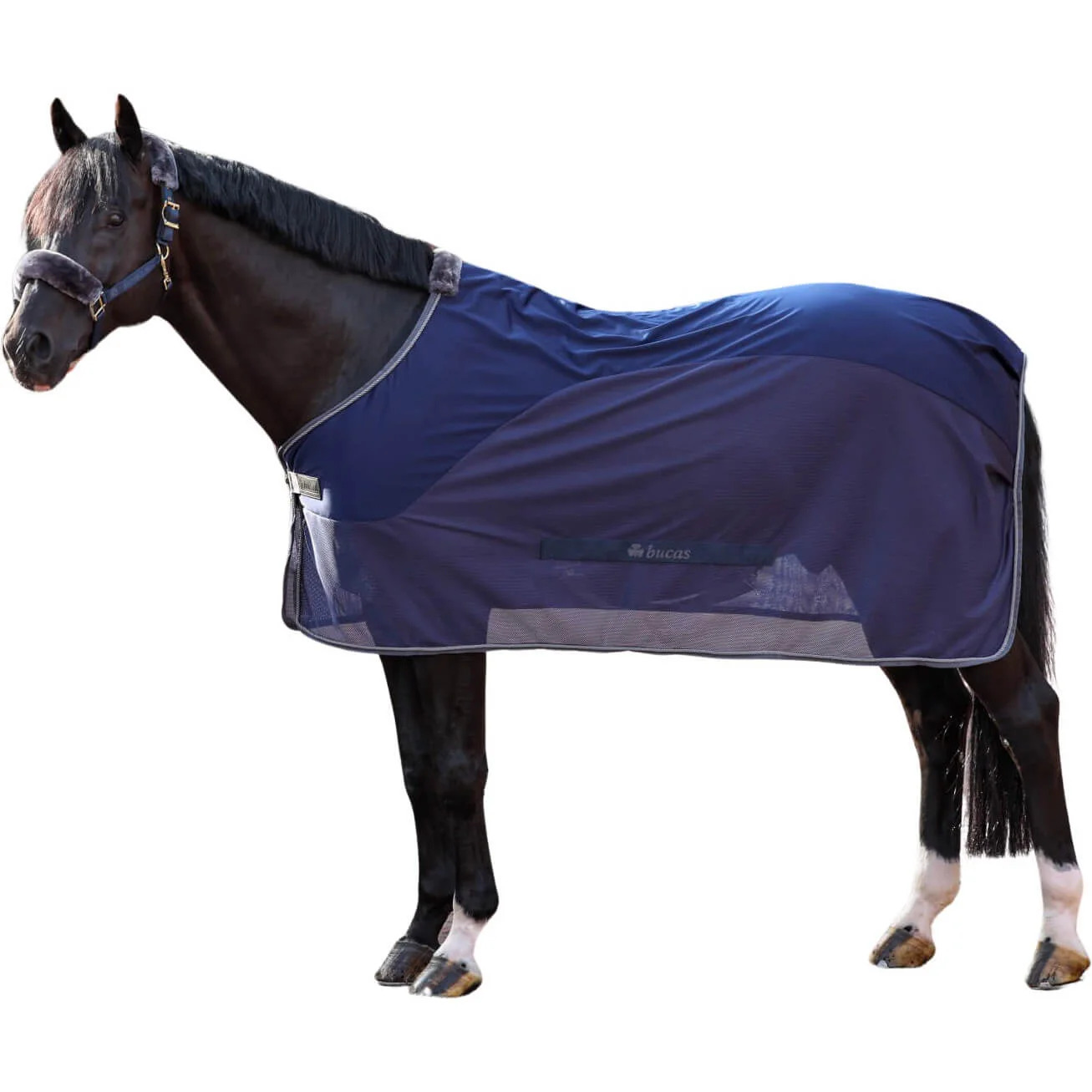 Bucas Abschwitzdecke Show Line Competition Cooler Navy/ Grey, Gr.145 cm Bucas Abschwitzdecke Show Line Competition Cooler Navy/ Grey, Gr.145 cm von Bucas