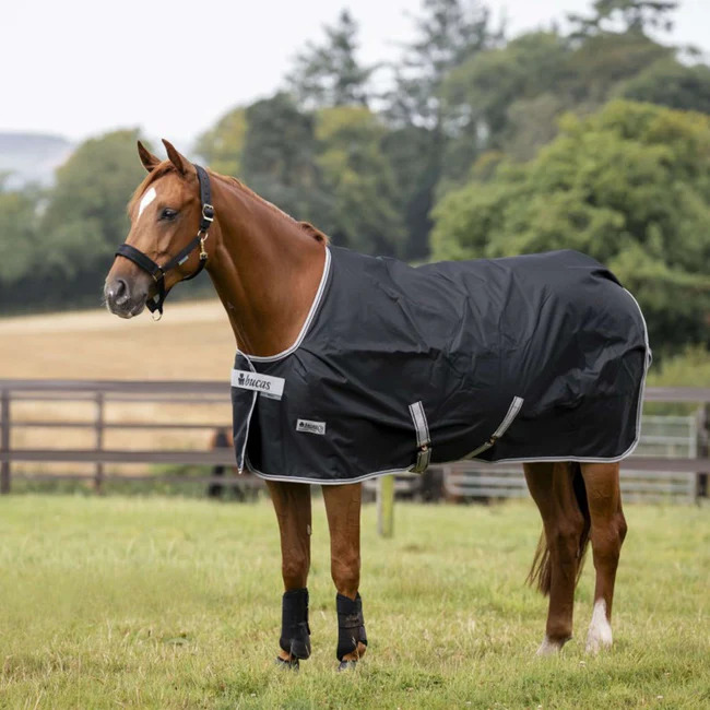 Bucas Anniversary Turnout Light 0g Sd Black/Sapphire, Gr. 140 cm Bucas Anniversary Turnout Light 0g Sd Black/Sapphire, Gr. 140 cm von Bucas