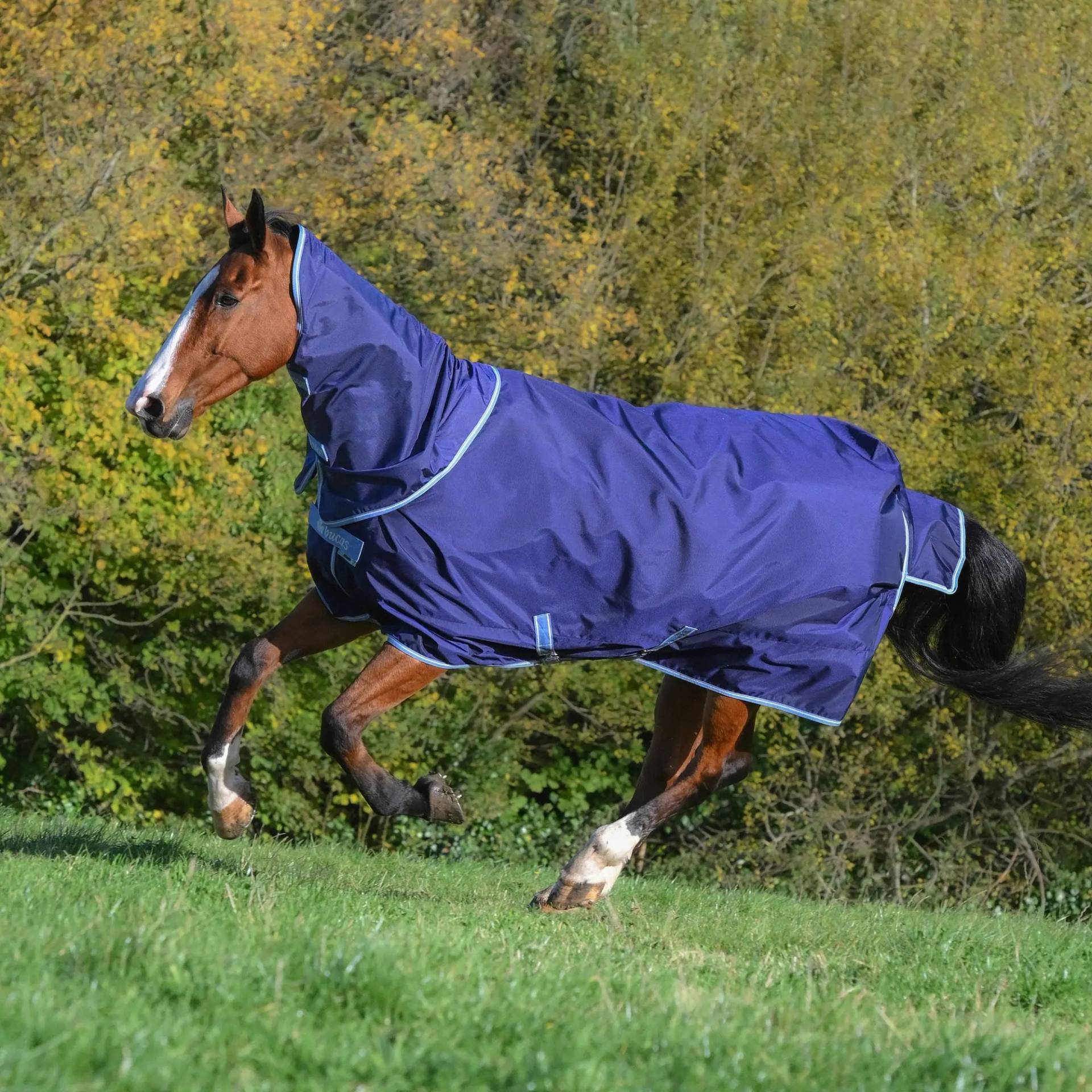 Bucas Atlantic Exclusive 150g & Neck  Navy/blue, Gr. 155 cm von Bucas