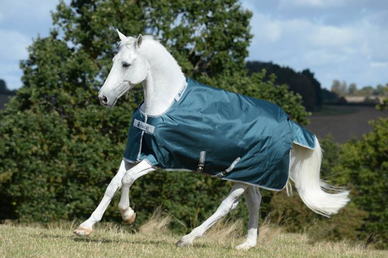 Bucas Atlantic Turnout 50g Green, Gr. 125 cm Bucas Atlantic Turnout 50g Green, Gr. 125 cm von Bucas
