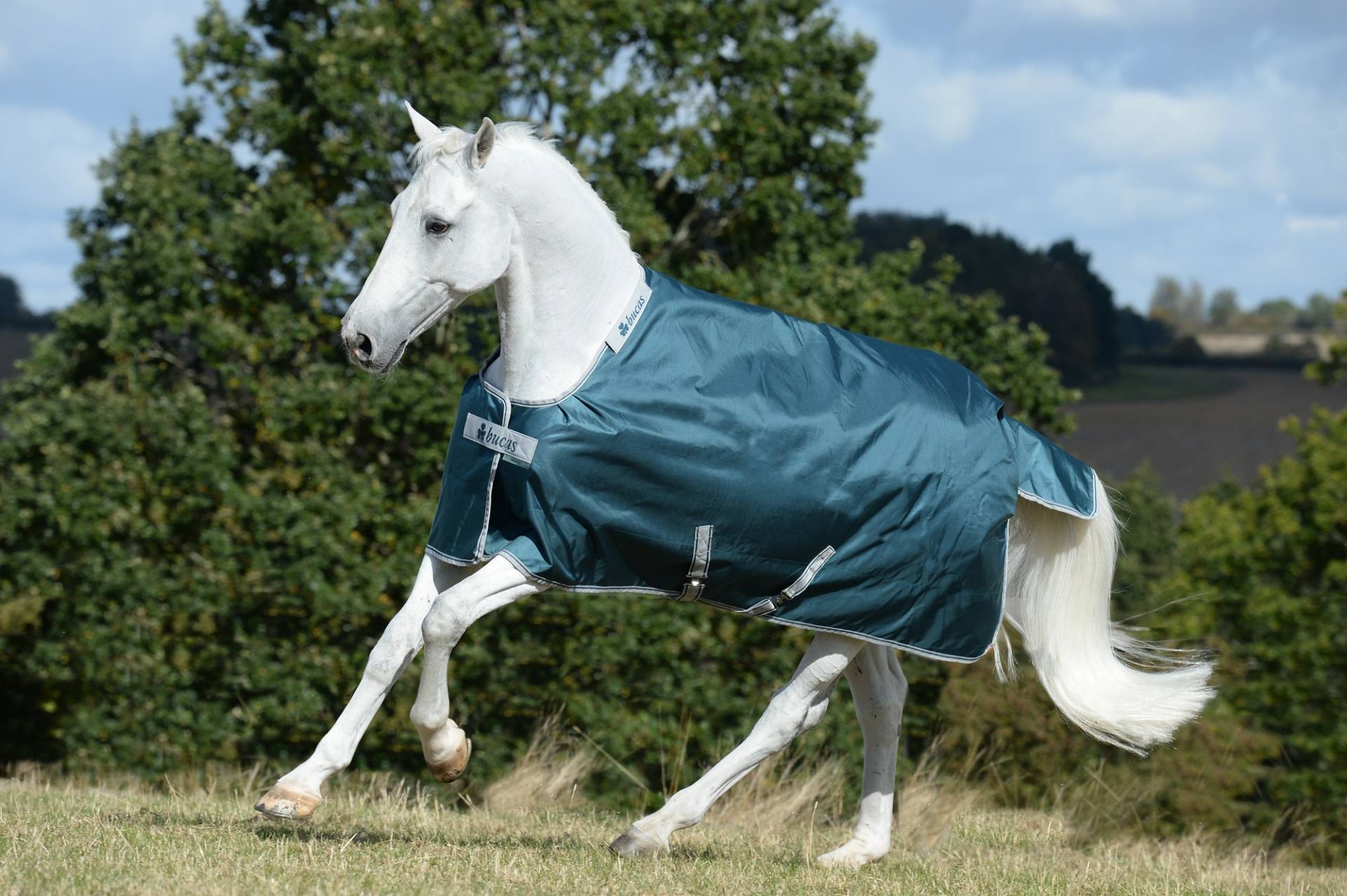 Bucas Atlantic Turnout 50g Green, Gr. 155 cm Bucas Atlantic Turnout 50g Green, Gr. 155 cm von Bucas