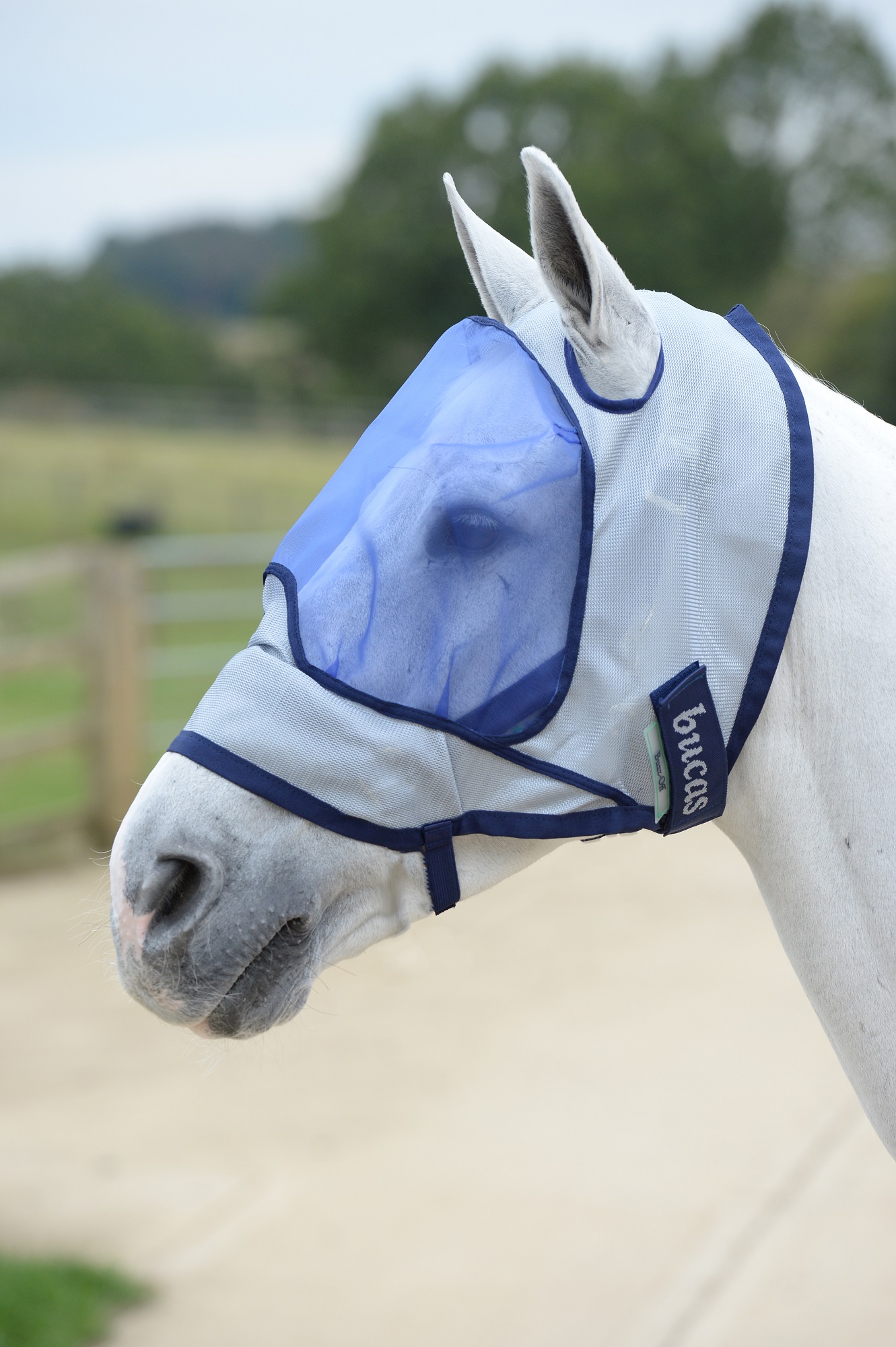 Bucas Buzz-Off Deluxe Fliegenmaske Blue, 145/L Bucas Buzz-Off Deluxe Fliegenmaske Blue, 145/L von Bucas