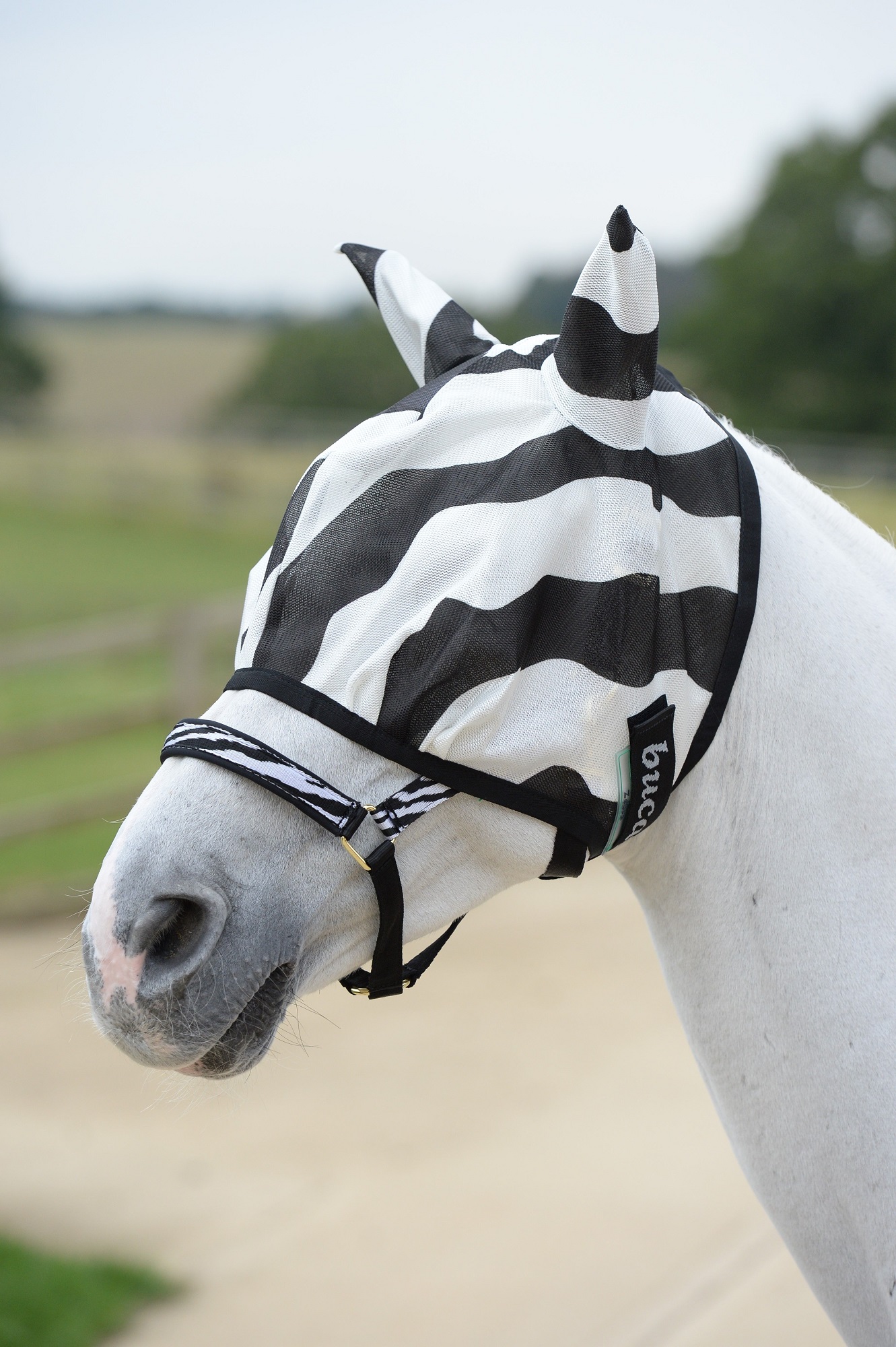Bucas Buzz-Off Fliegenmaske Zebra, 135/M Bucas Buzz-Off Fliegenmaske Zebra, 135/M von Bucas