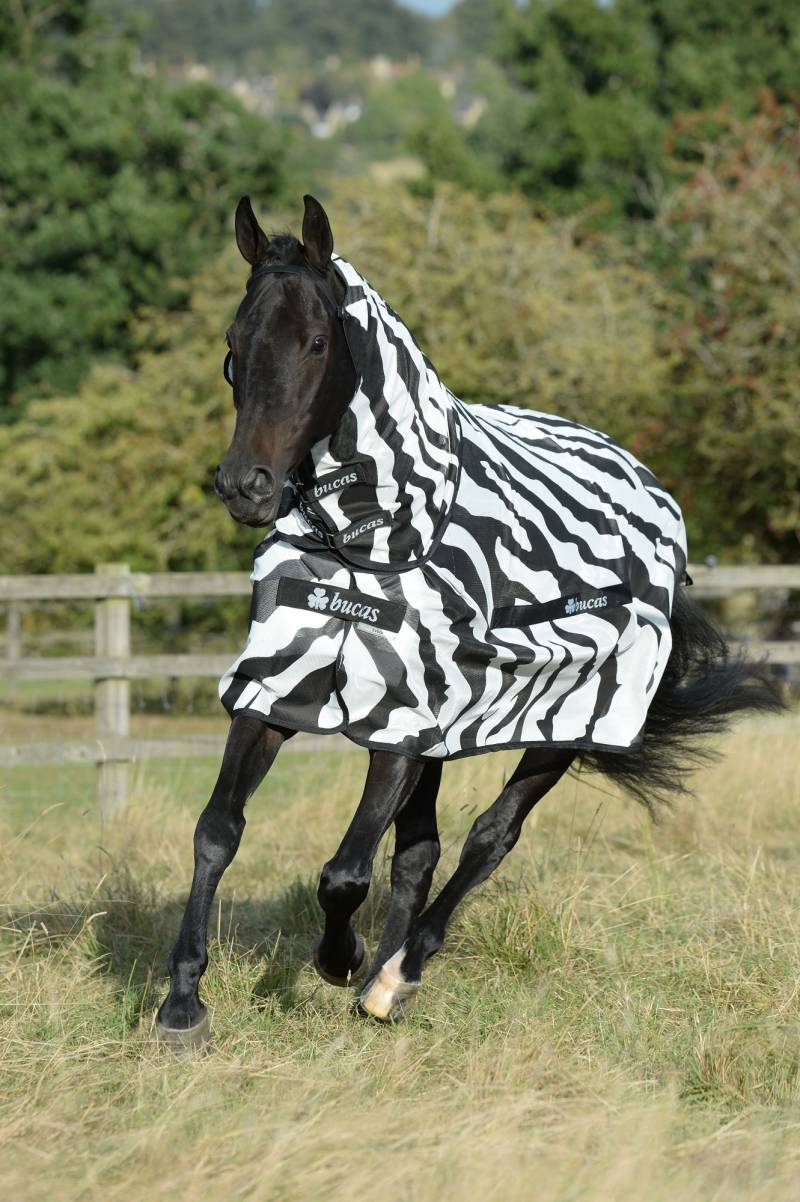 Bucas Buzz-off Fliegendecke Zebra, 145 cm von Bucas