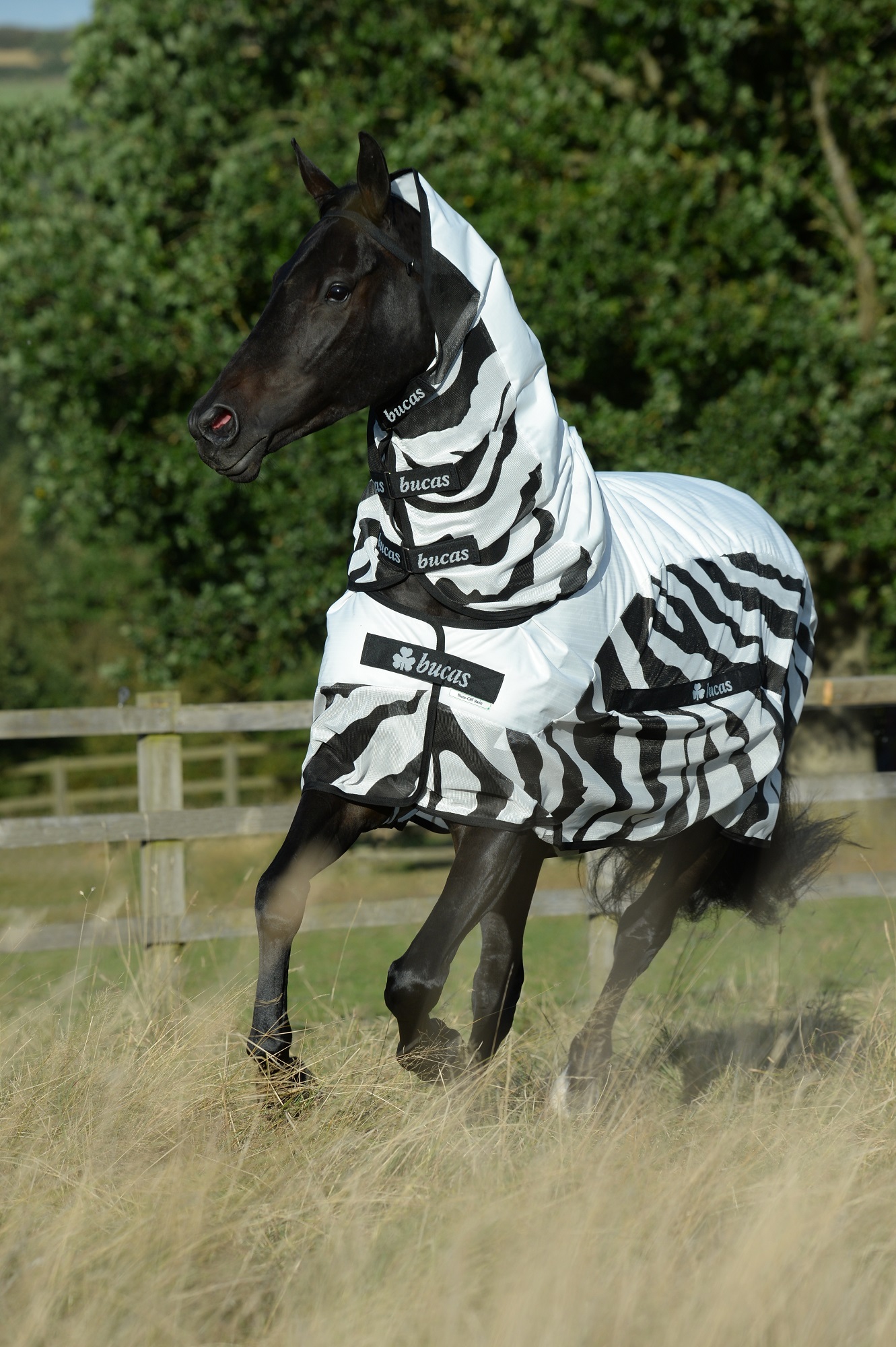 Bucas Buzz-off Rain Fliegendecke Zebra, 130 cm Bucas Buzz-off Rain Fliegendecke Zebra, 130 cm von Bucas
