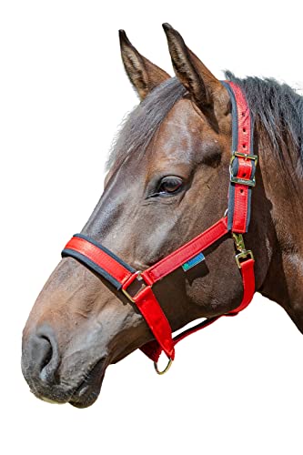 Bucas Comfort Halfter, Pony, red/Black von Bucas