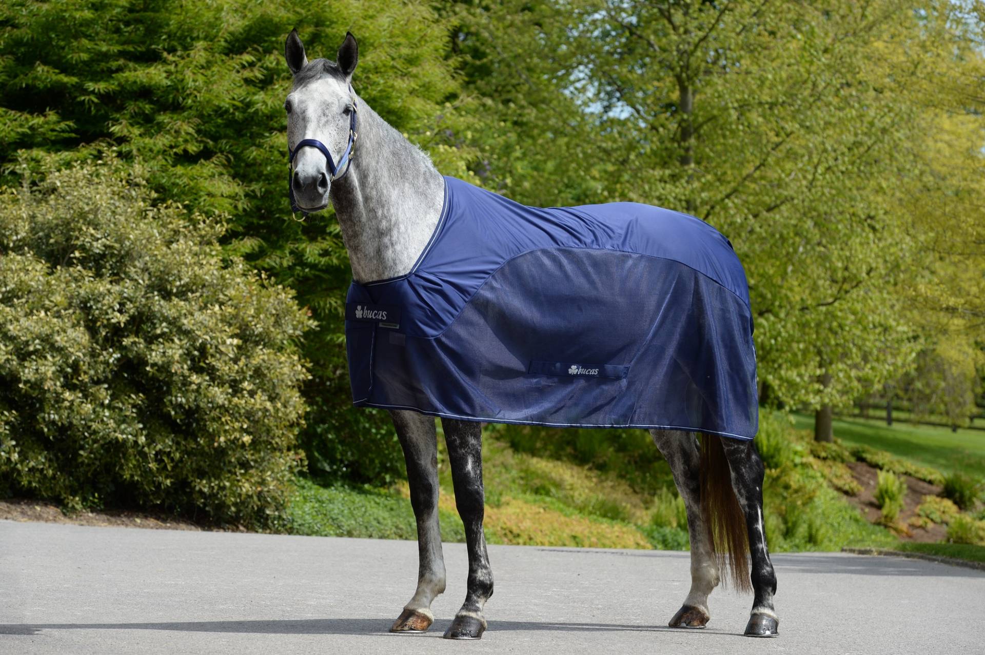 Bucas Competition Cooler Navy, Gr. 135 cm Bucas Competition Cooler Navy, Gr. 135 cm von Bucas