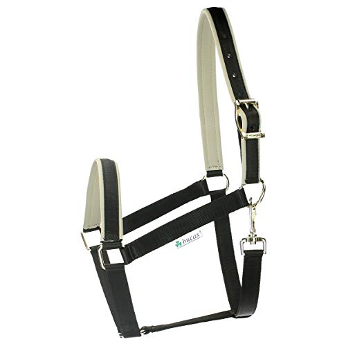 Bucas Dublin Head Collar Foal Black Silver von Bucas