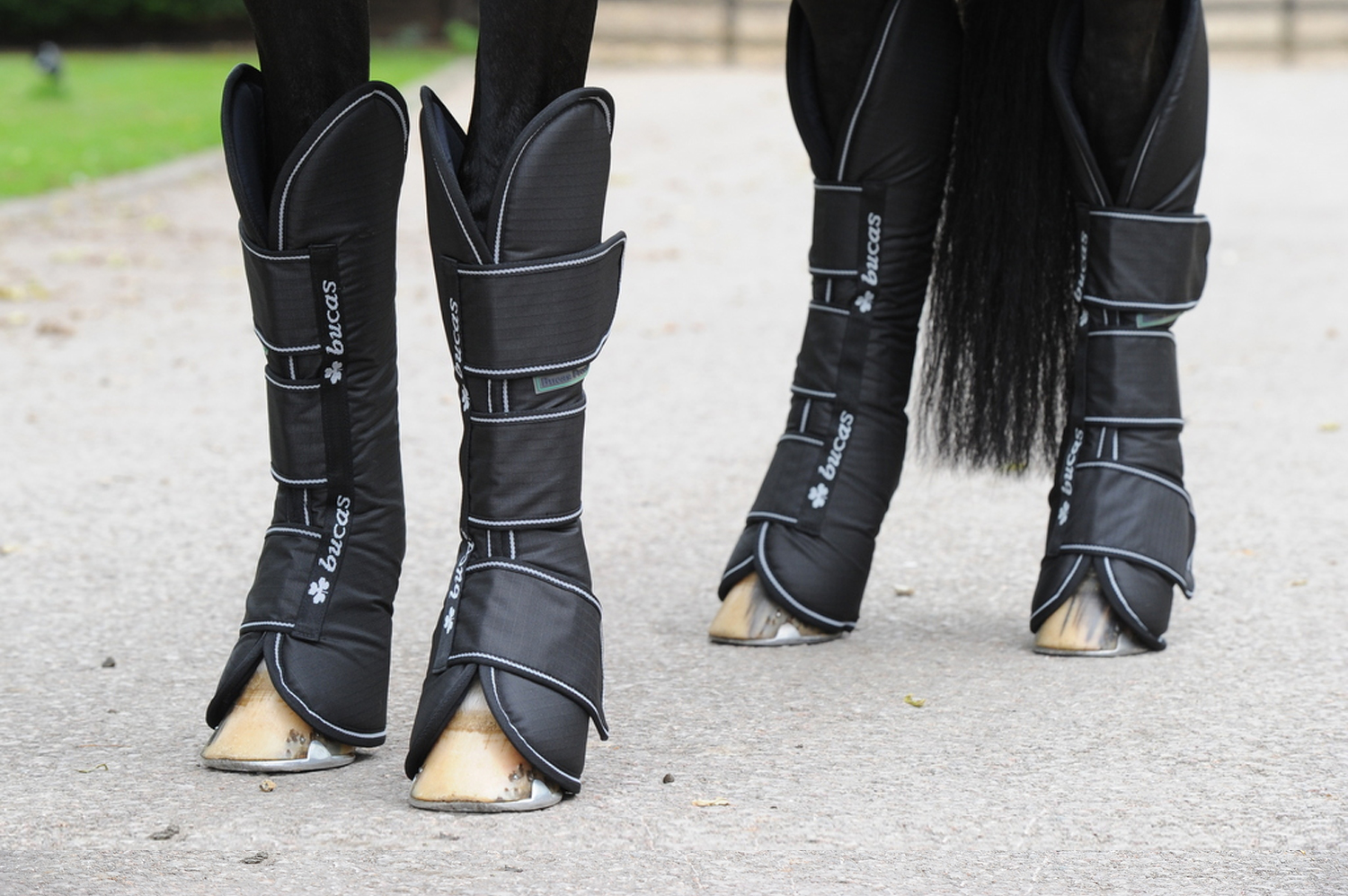 Bucas Freedom Boots Transportgamaschen black, Pony Bucas Freedom Boots Transportgamaschen black, Pony von Bucas