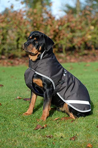 Bucas Freedom Dog Blanket Hundemantel 300g (Navy, 45) von Bucas
