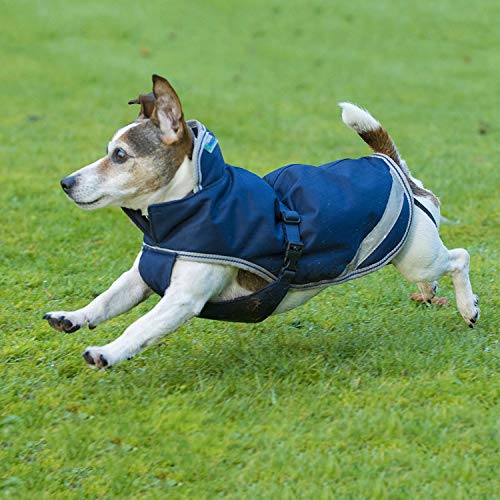 Bucas Freedom Dog Blanket Hundemantel light (Navy/Silver, 30) von Bucas