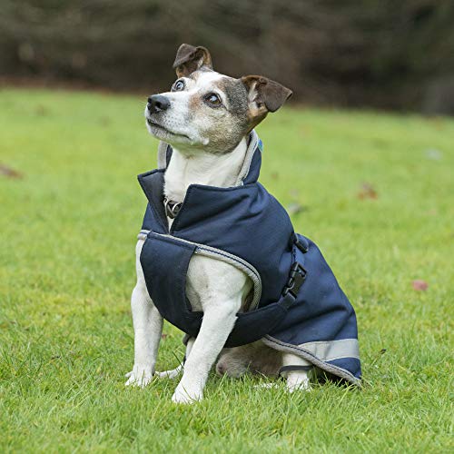Bucas Freedom Dog Blanket Hundemantel light (Navy/Silver, 30) von Bucas