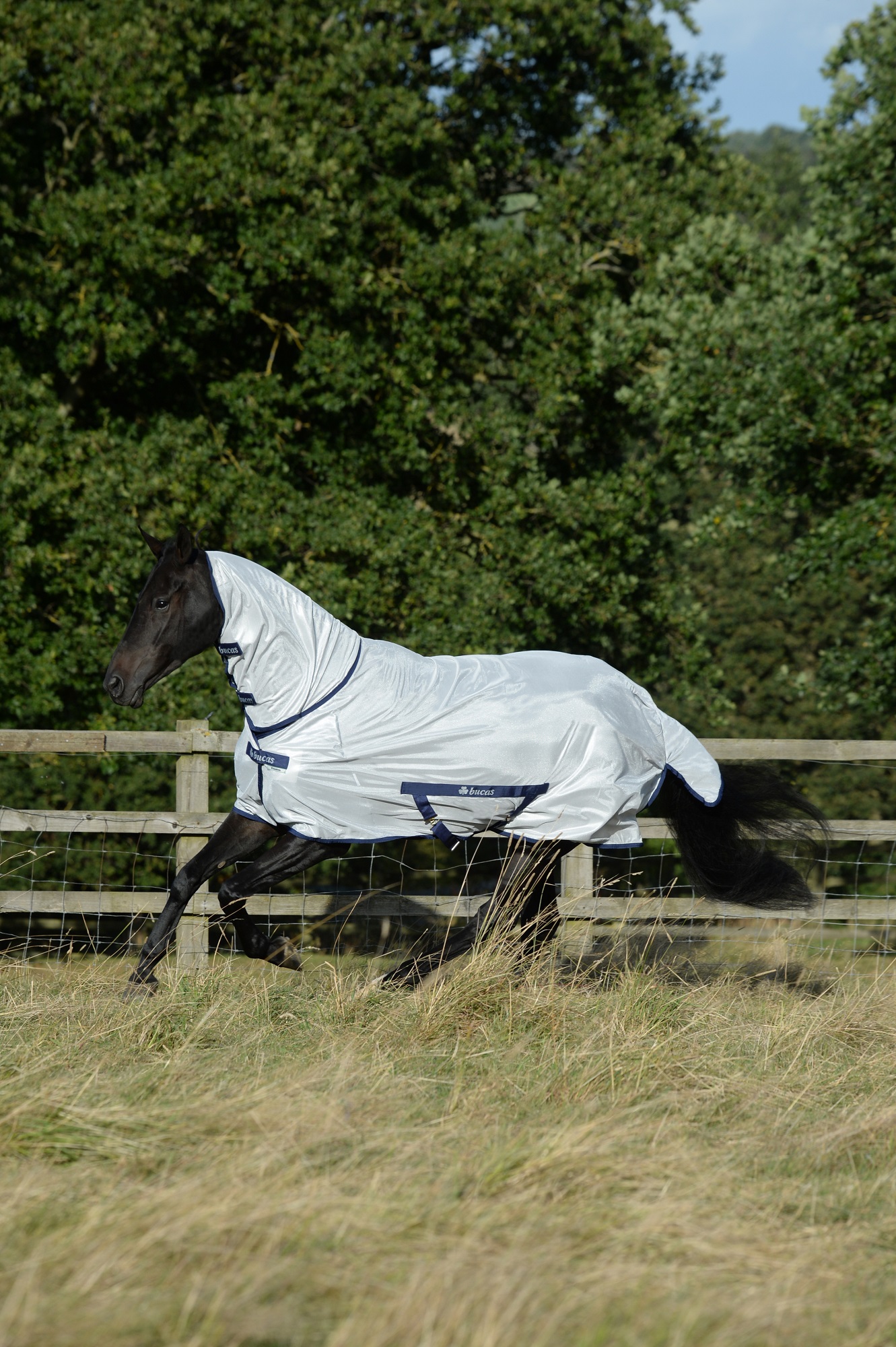 Bucas Freedom Fliegendecke Silver F/N, 145 cm Bucas Freedom Fliegendecke Silver F/N, 145 cm von Bucas
