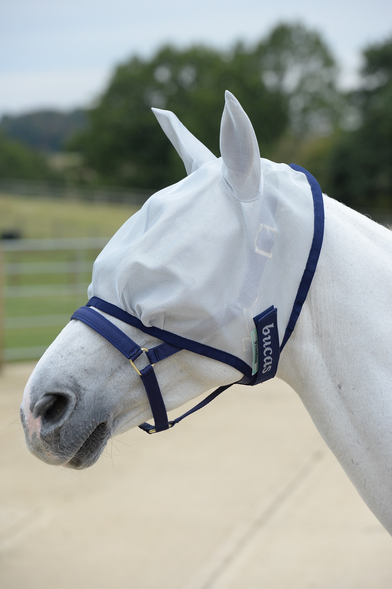 Bucas Freedom Fliegenmaske Silver, 115/Xs Bucas Freedom Fliegenmaske Silver, 115/Xs von Bucas
