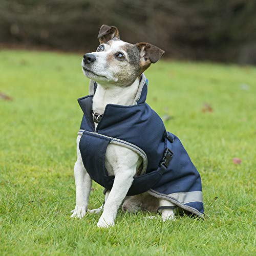 Bucas Freedom Hundedecke 35, navy von Bucas