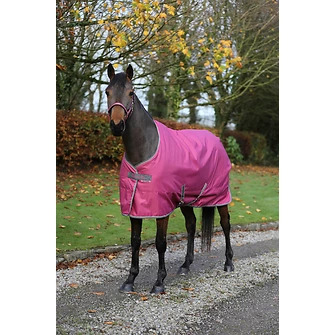 Bucas Freedom Stable 150g  140cm, Raspberry von Bucas