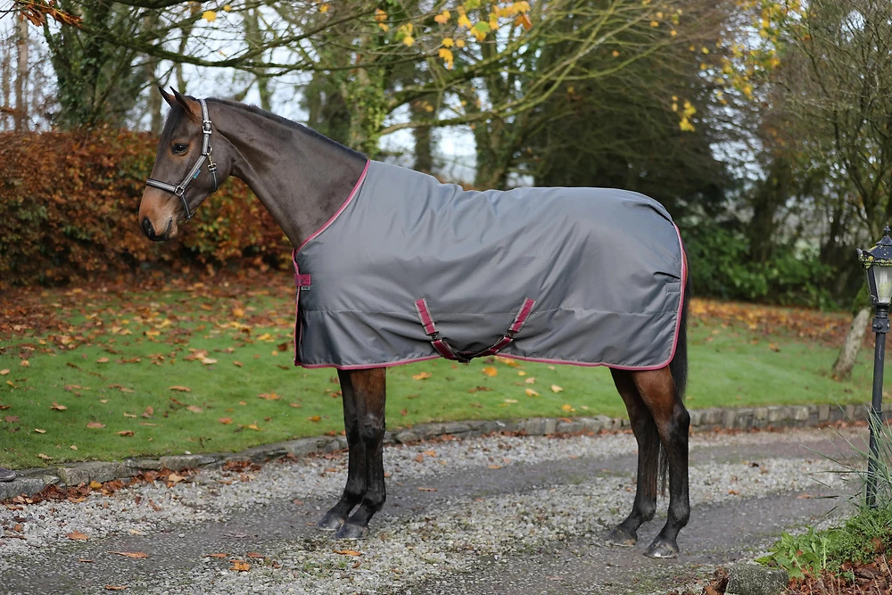 Bucas Freedom Stable 150g 155cm, Smoke Grey Bucas Freedom Stable 150g 155cm, Smoke Grey von Bucas