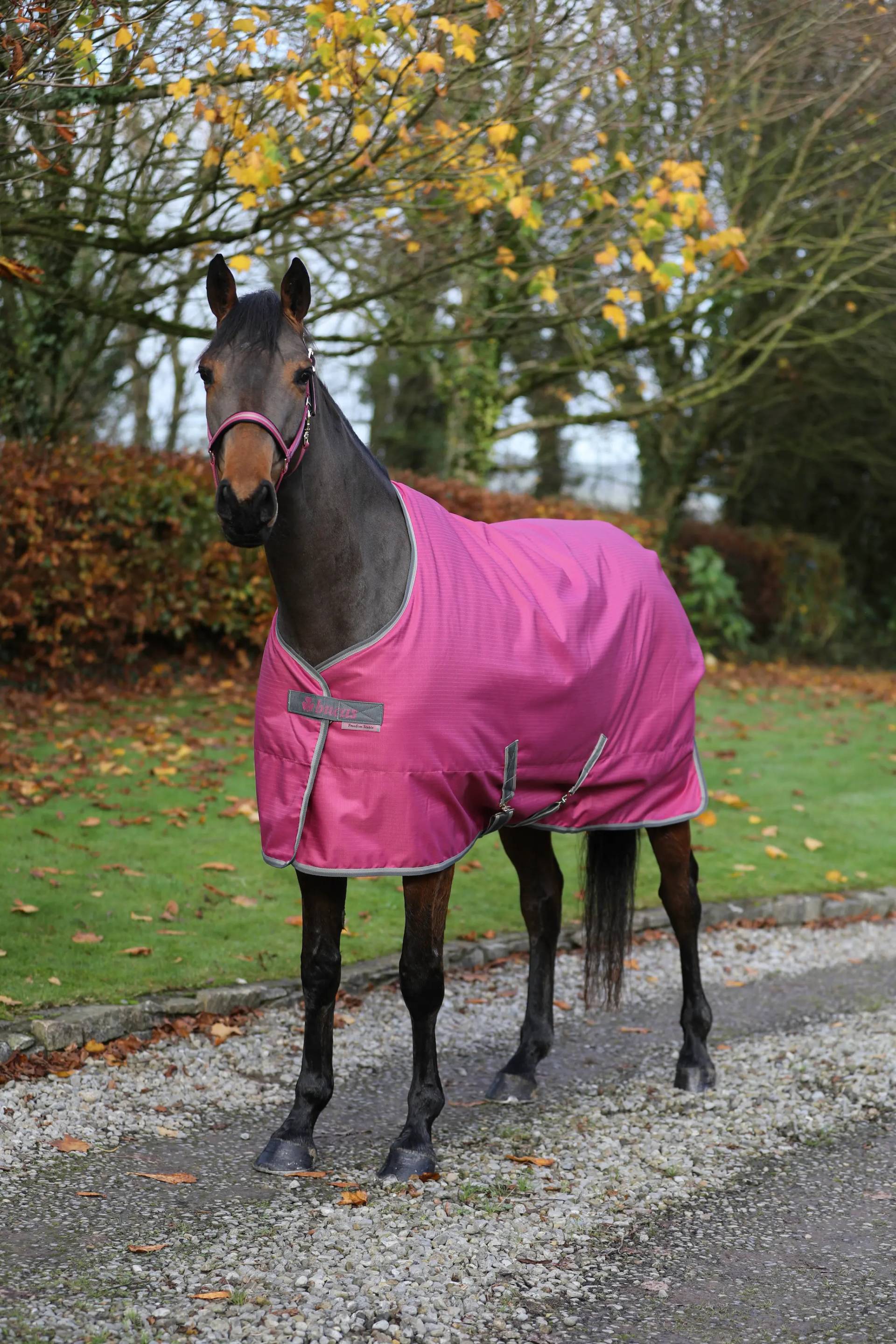 Bucas Freedom Stable 300g 140cm, Raspberry Bucas Freedom Stable 300g 140cm, Raspberry von Bucas