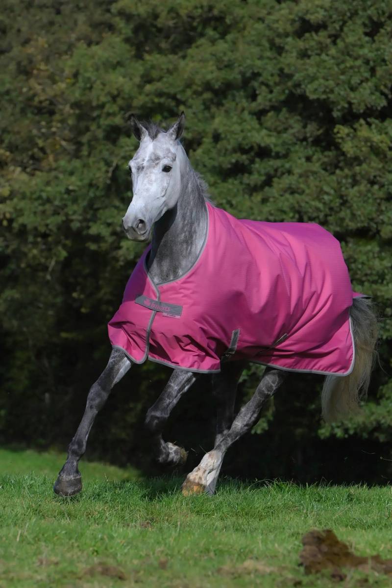 Bucas Freedom Turnout 150g 165cm, Raspberry von Bucas
