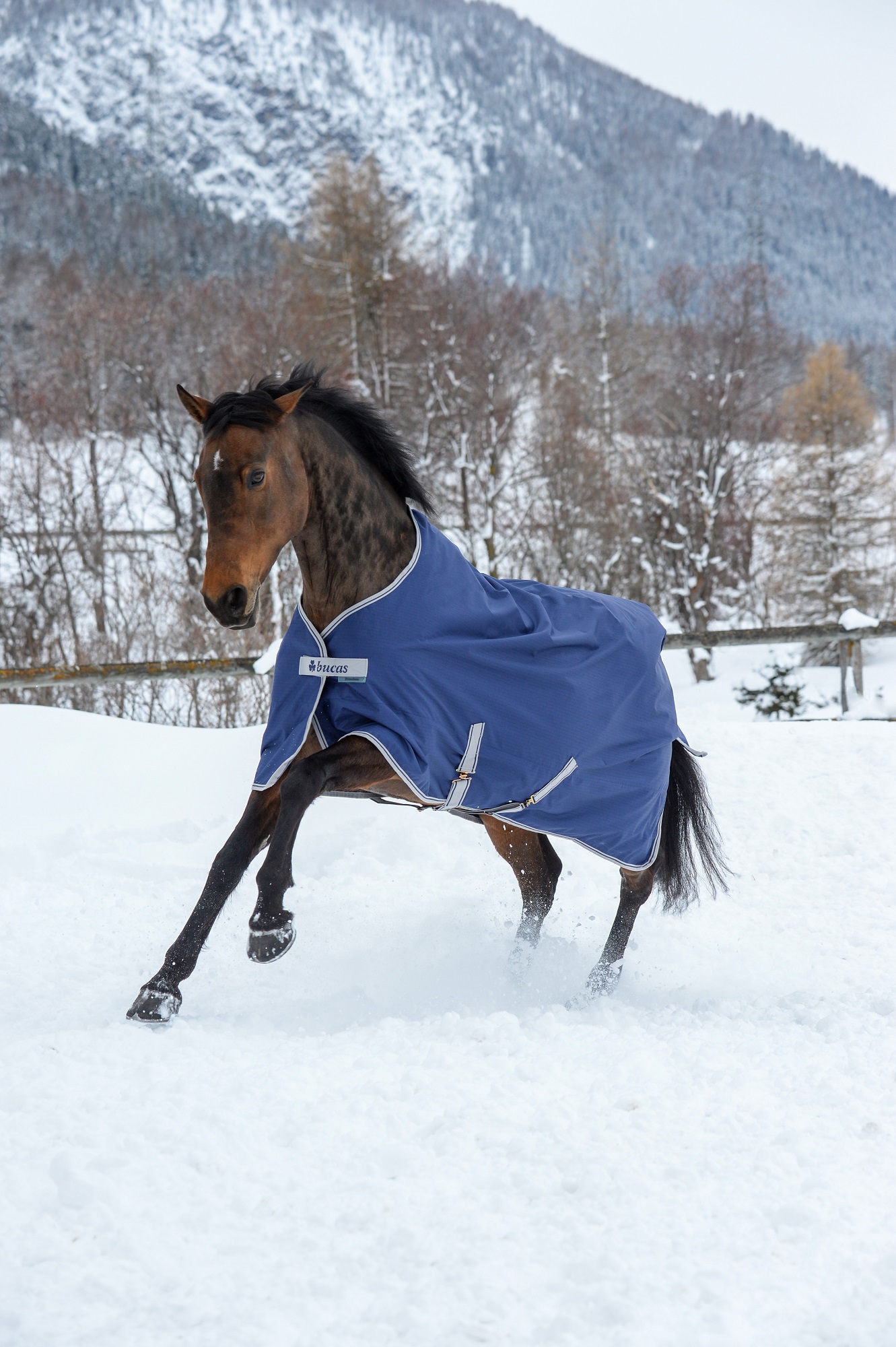 Bucas Freedom Turnout 150g Navy/Silver, Gr. 130 cm Bucas Freedom Turnout 150g Navy/Silver, Gr. 130 cm von Bucas