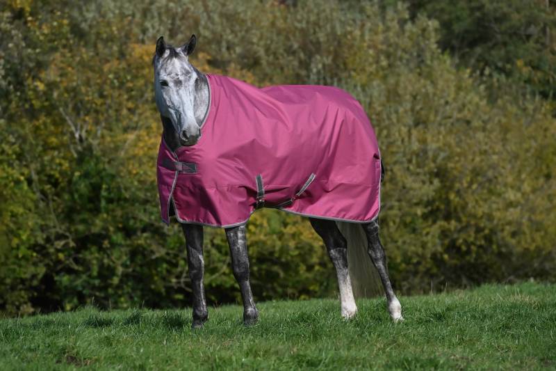 Bucas Freedom Turnout 300  Raspberry, Gr. 125 cm von Bucas