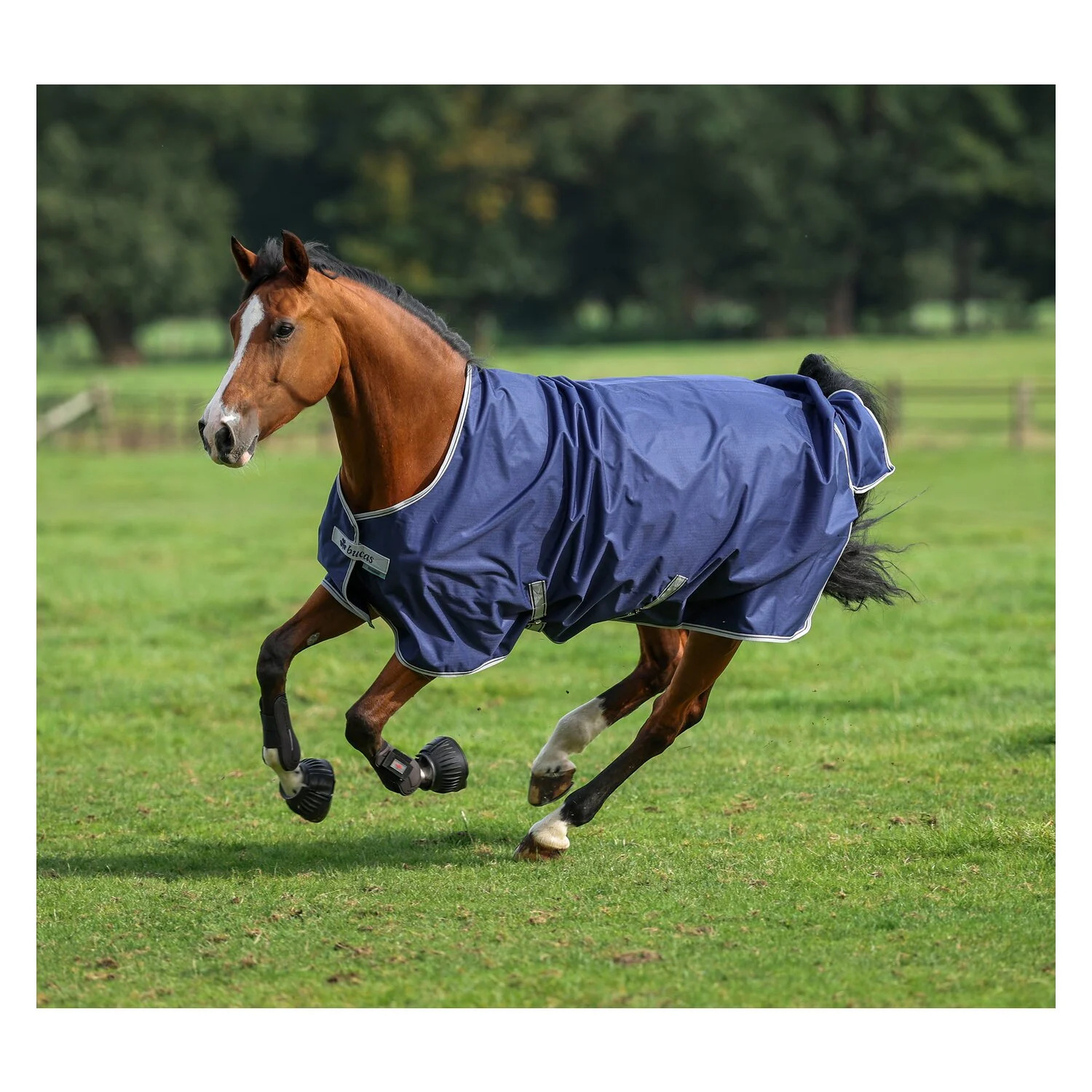 Bucas Freedom Turnout 50g Navy/silver, Gr. 165 cm Bucas Freedom Turnout 50g Navy/silver, Gr. 165 cm von Bucas
