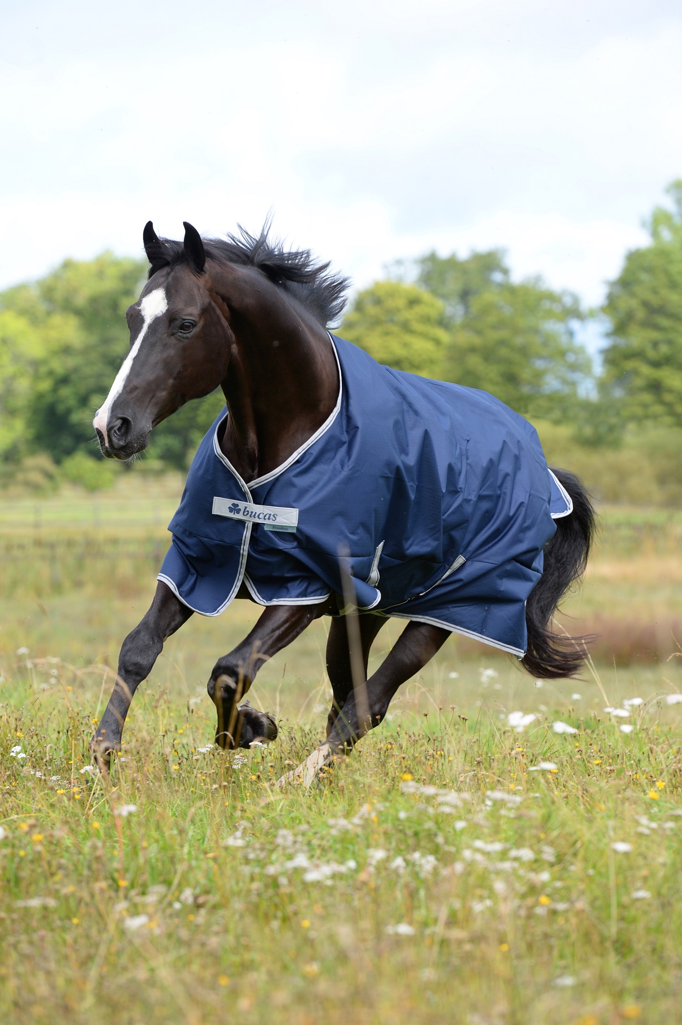 Bucas Freedom Turnout Light 0g Navy/Silver, Gr. 130 cm Bucas Freedom Turnout Light 0g Navy/Silver, Gr. 130 cm von Bucas