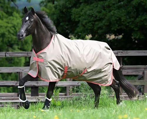 Bucas Freedom Turnout Light Regendecke von Bucas