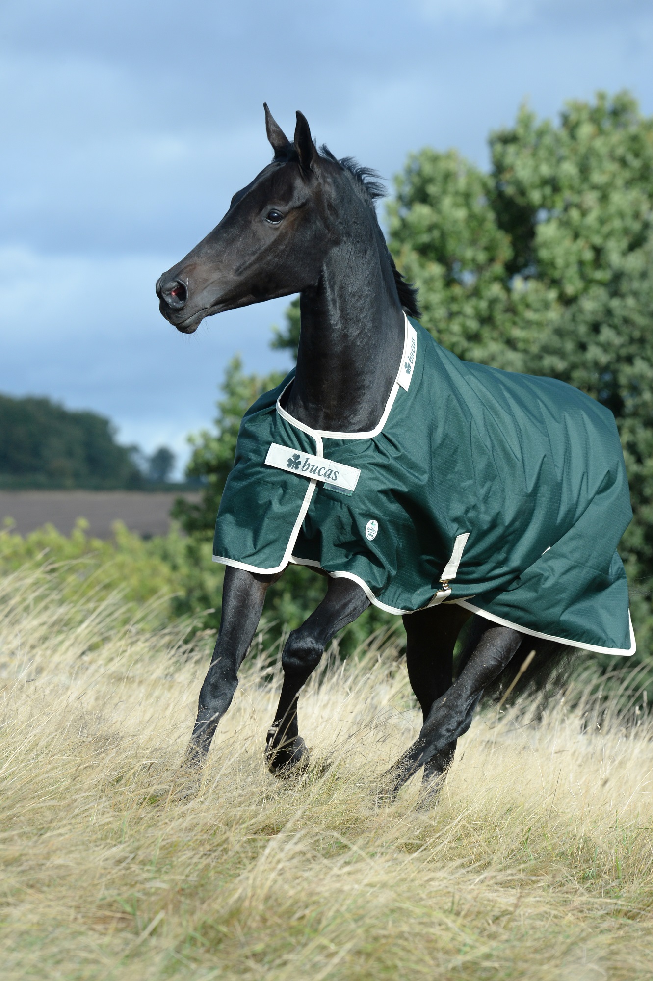 Bucas Greenline Turnout 100g Green/Cream, Gr. 125 cm Bucas Greenline Turnout 100g Green/Cream, Gr. 125 cm von Bucas