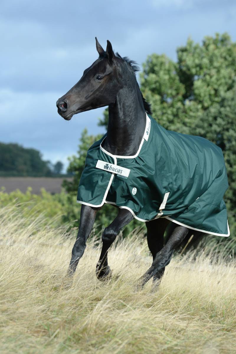 Bucas Greenline Turnout 100g Green/Cream, Gr. 125 cm Bucas Greenline Turnout 100g Green/Cream, Gr. 125 cm von Bucas