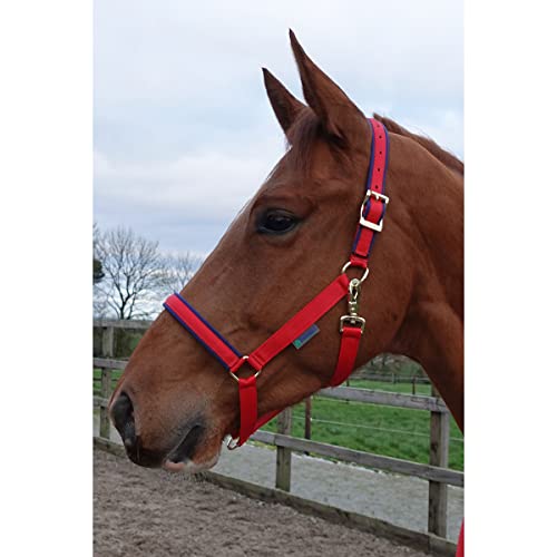 Bucas Halfter Dublin Pony Crimson von Bucas