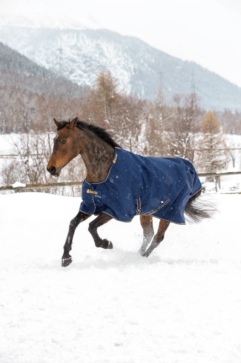 Bucas Irish Turnout 150g Navy/Gold, Gr. 135 cm Bucas Irish Turnout 150g Navy/Gold, Gr. 135 cm von Bucas